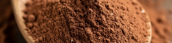 ナトラプロテイン・ココア味