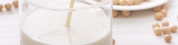 ナトラプロテイン・プレーン味