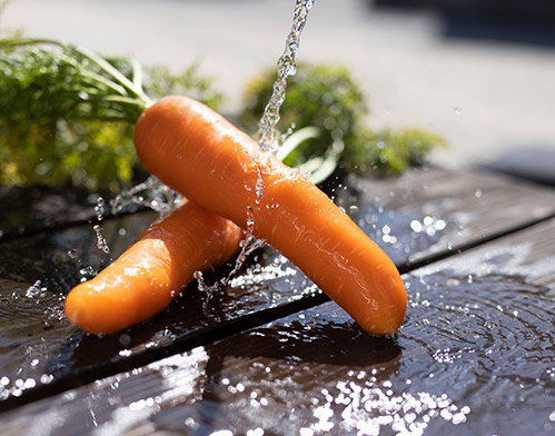 ハッピーキャロット