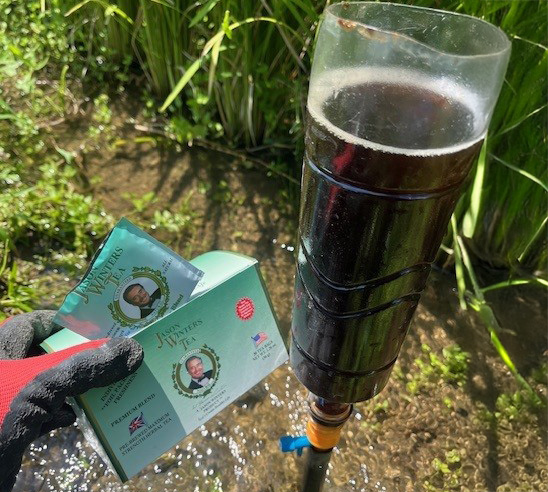 穂まれのササニシキ