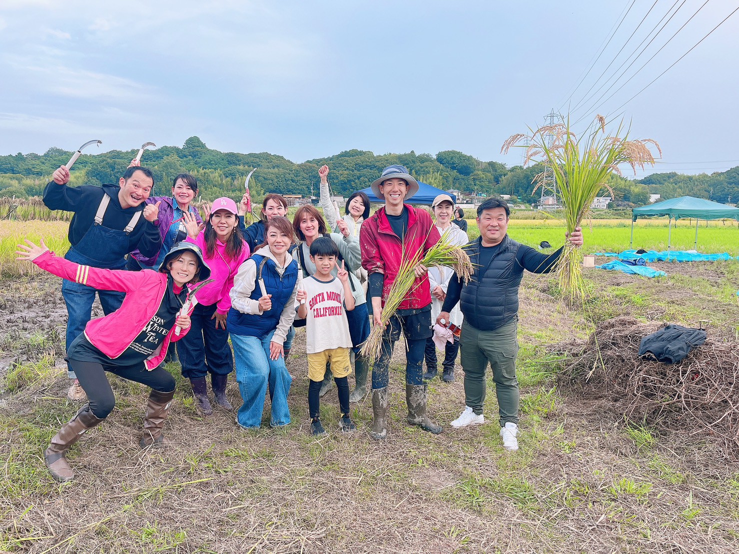 高波動米くまみのり