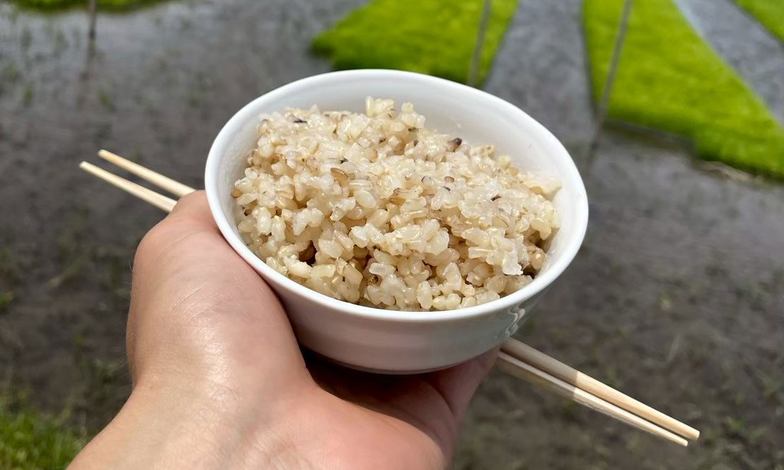 高波動米くまみのり