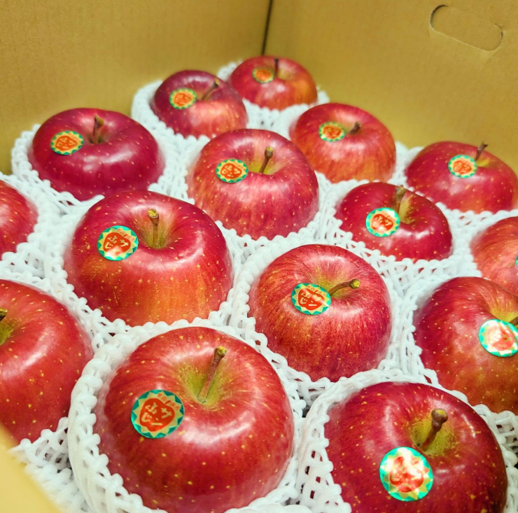 青森県産サンふじ5kg