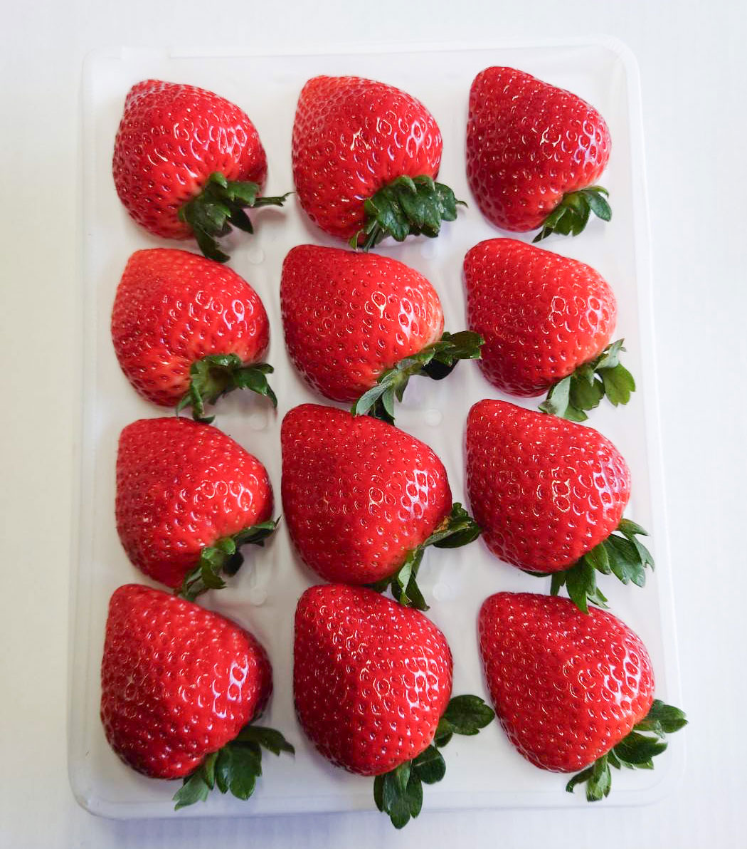 とちおとめ　500～600ｇ×1パック　送料込