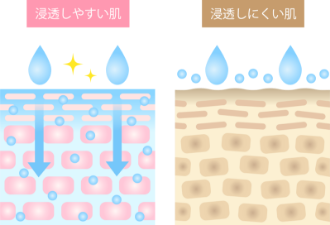 バリアが整った肌と乱れた肌