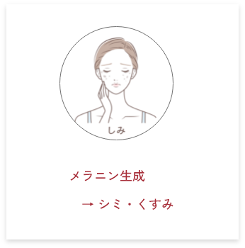 メラニン生成　→ シミ・くすみ