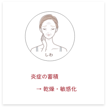炎症の蓄積 → 乾燥・敏感化