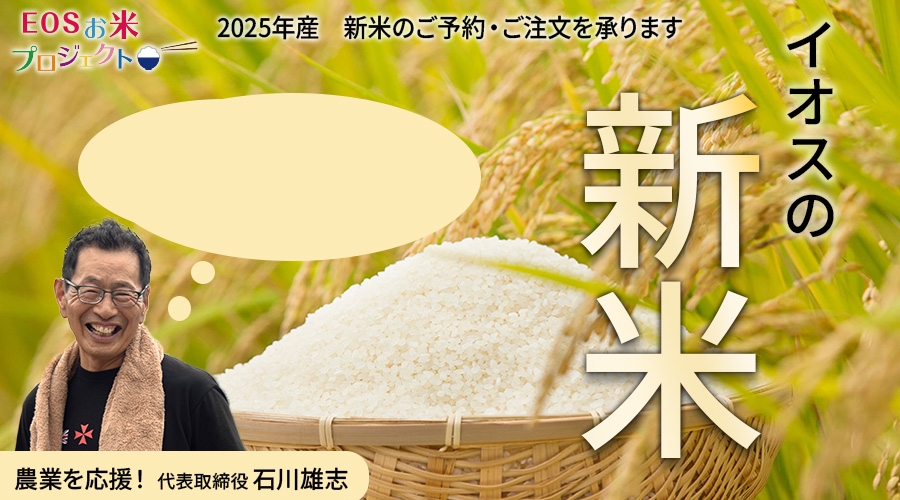 イオスの新米