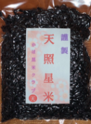 福岡県 天照黒米  