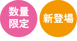 数量限定 新登場