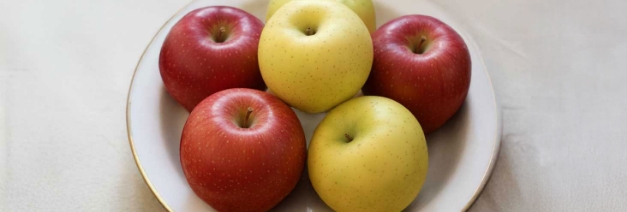 長野県産 特選りんご2種